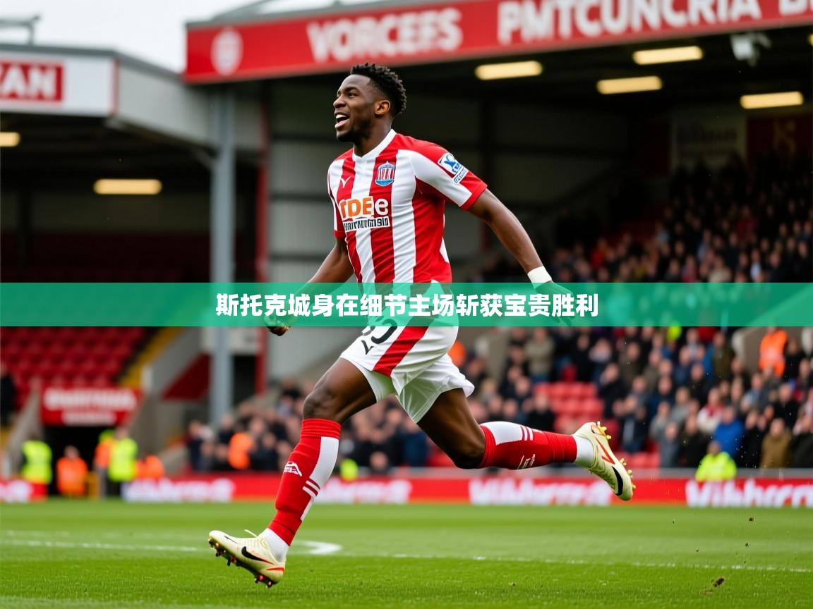 斯托克城身在细节主场斩获宝贵胜利