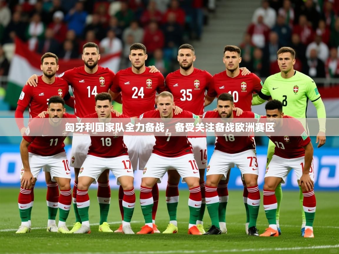 匈牙利国家队全力备战，备受关注备战欧洲赛区