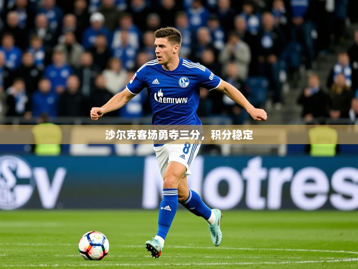 沙尔克客场勇夺三分，积分稳定